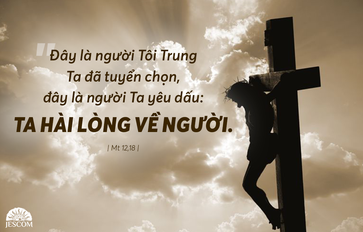 Thứ Bảy - Tuần 15 Mùa Thường Niên