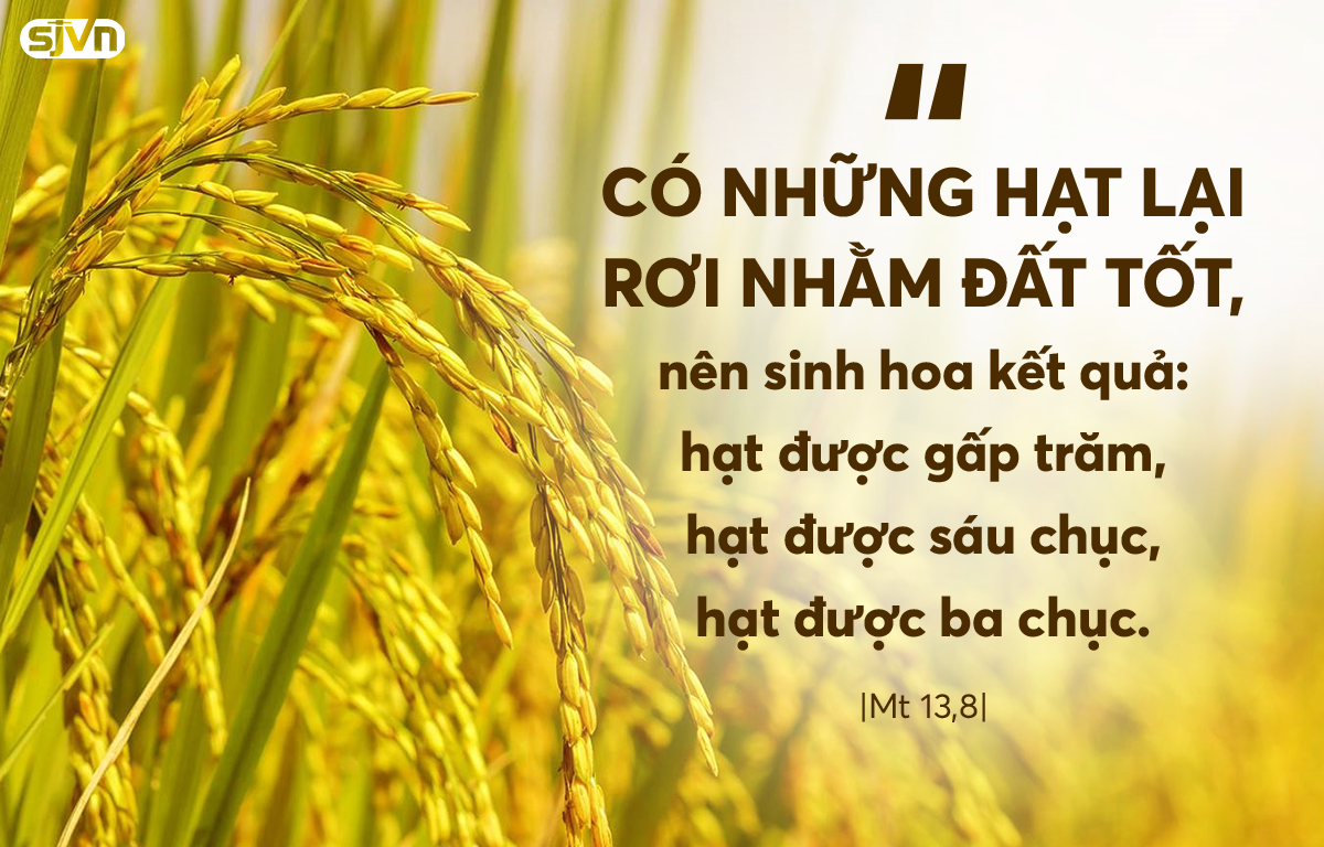Thứ Tư - Tuần 16 Mùa Thường Niên